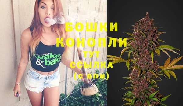 стафф Волоколамск