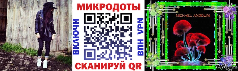 Галлюциногенные грибы Psilocybe  Купить закладки  Красково 